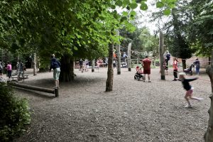 A view of the Adventure Playground at Clumber Park National Trust Property, with children playing. It is through a side gate and leafy and wooded.