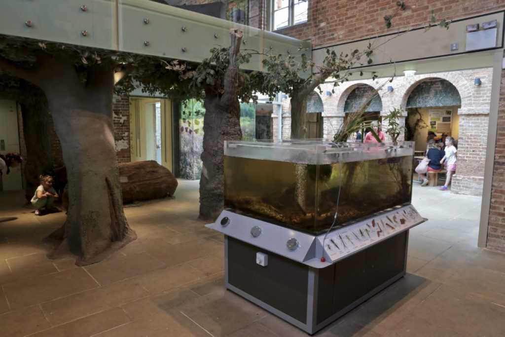 A view of the fish and amphibian tank and the interior of the Discovery Centre at Clumber Park National Trust Property
