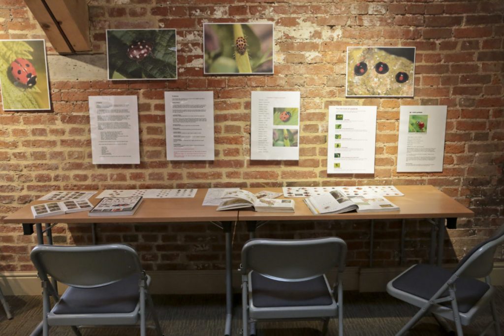 An activity station on the mezzanine level has a desk, chairs and information posters, pictures and books to teach children about animals and wildlife at Clumber Park National Trust Property