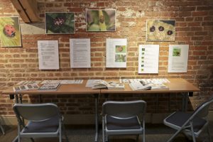 An activity station on the mezzanine level has a desk, chairs and information posters, pictures and books to teach children about animals and wildlife at Clumber Park National Trust Property