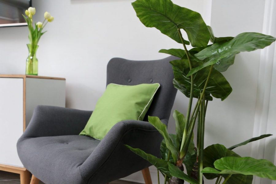 Wayfair Pantone Greenery inspiration close-up of grey chair with green cushion next to a table with a green vase containing tulips and an artificial floor standing Taro plant