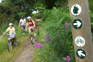 Cyclists on Cycle trails and routes at Kelling Heath.