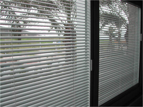 Integrated Window Blinds