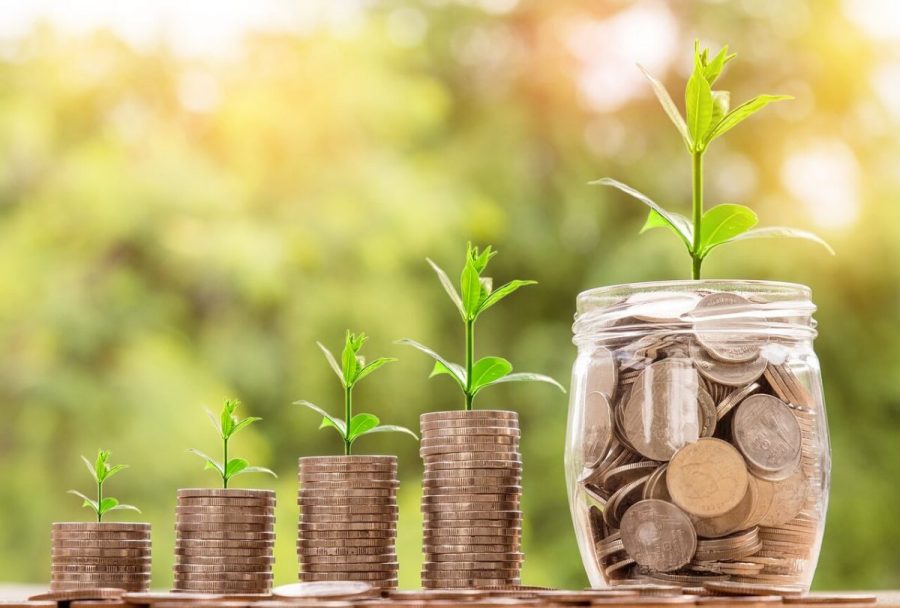 Coins in piles getting higher and higher with green shoots of growth above illustrate how savings can grow in the long-term with stocks and shares ISA